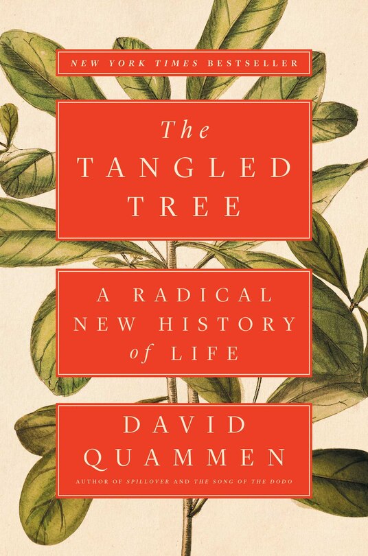 Front cover_TANGLED TREE