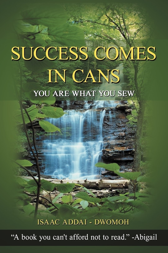 Couverture_Success Comes In Cans
