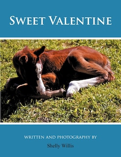 Front cover_Sweet Valentine