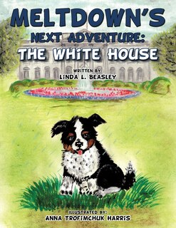 Front cover_Meltdown's Next Adventure