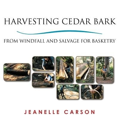 Harvesting Cedar Bark: From Windfall And Salvage For Basketry