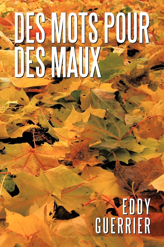 Front cover_Des Mots Pour Des Maux