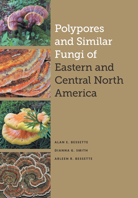 Front cover_Polypores And Similar Fungi Of Eastern And Central North America