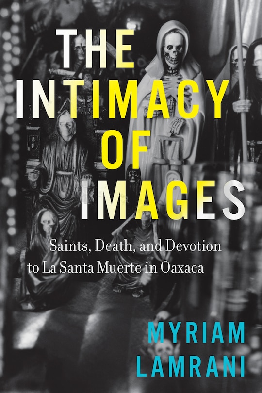 Couverture_The Intimacy of Images