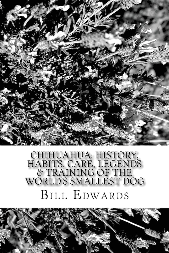 Couverture_Chihuahua