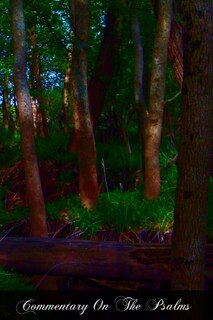 Couverture_Commentary On The Psalms