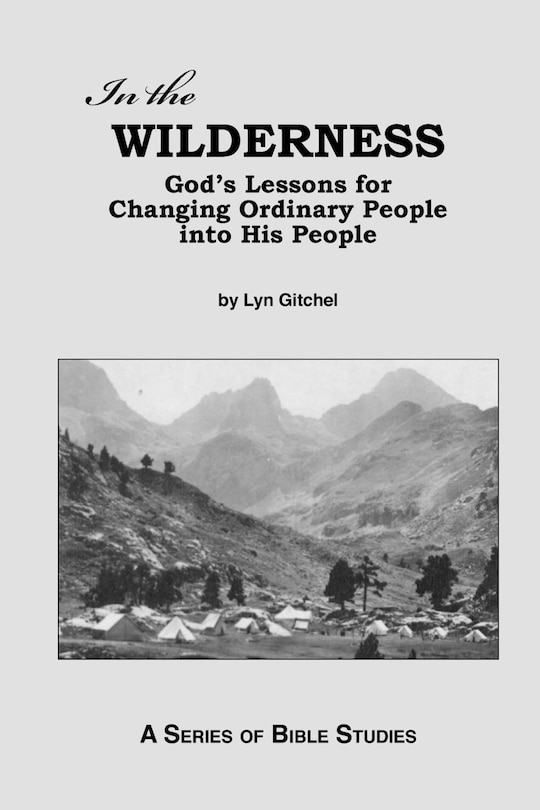 Couverture_In the Wilderness