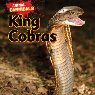 Front cover_King Cobras