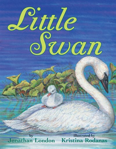 Couverture_Little Swan