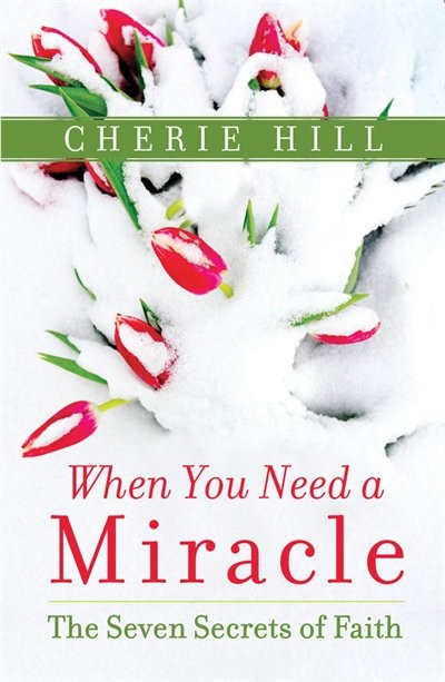 Couverture_When You Need a Miracle