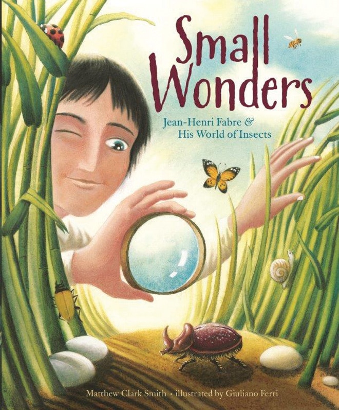 Front cover_Small Wonders