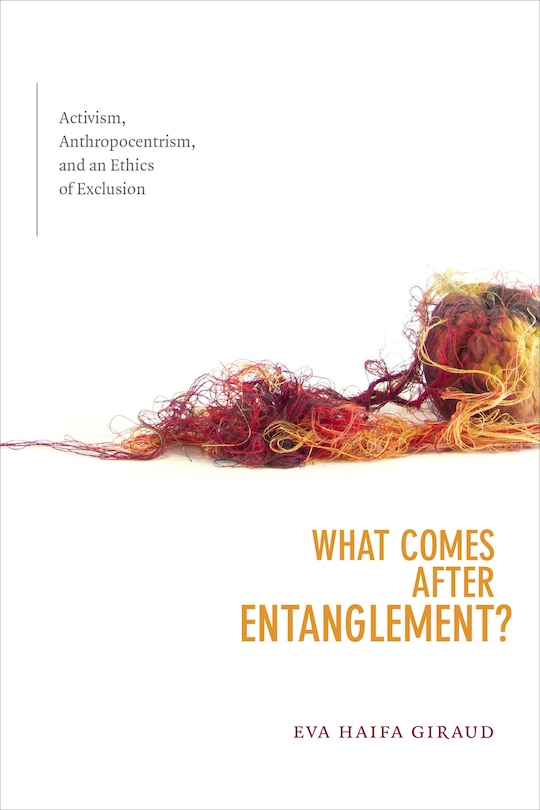 Front cover_What Comes after Entanglement?