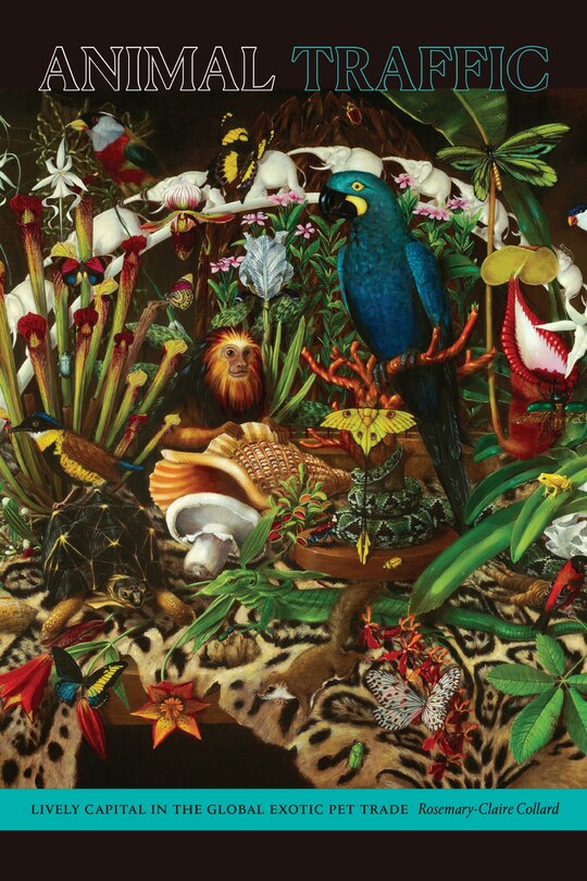 Front cover_Animal Traffic