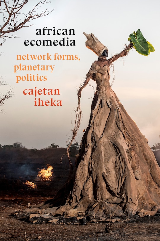 Front cover_African Ecomedia