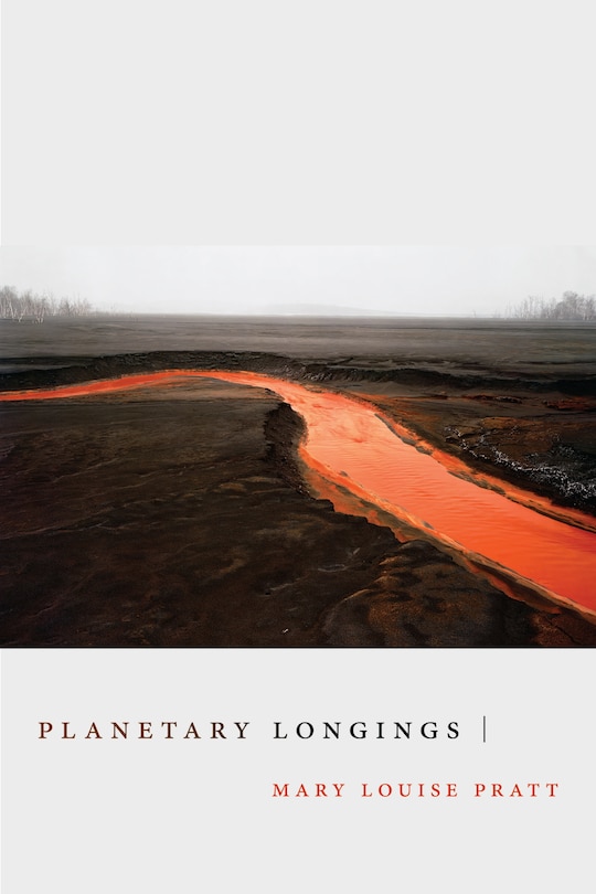 Couverture_Planetary Longings