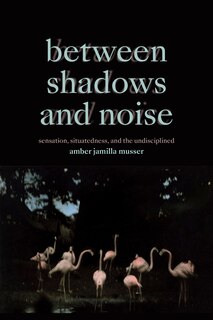 Couverture_Between Shadows and Noise