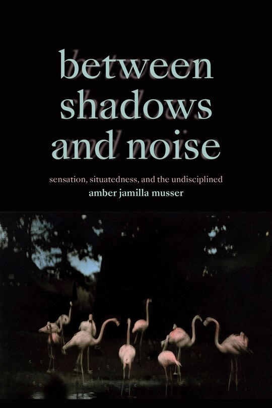 Couverture_Between Shadows and Noise