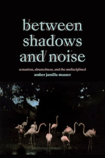 Front cover_Between Shadows and Noise