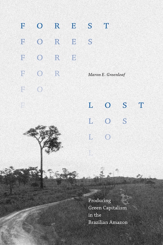 Front cover_Forest Lost