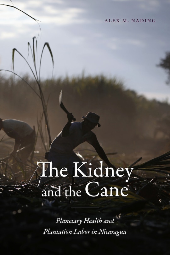 Front cover_The Kidney and the Cane