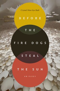 Front cover_Before the Fire Dogs Steal the Sun