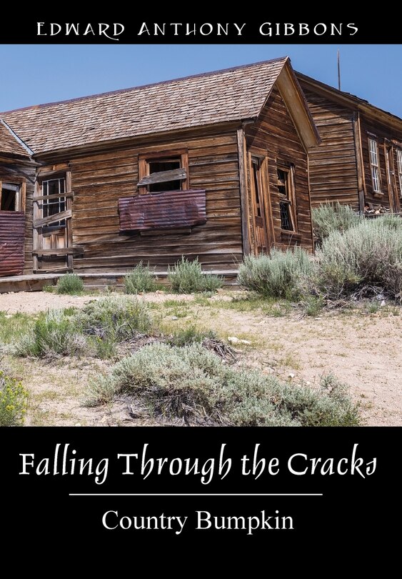 Front cover_Falling Through The Cracks
