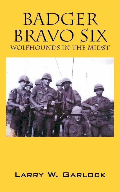 Couverture_Badger Bravo Six