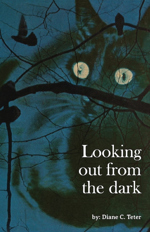 Looking Out From The Dark