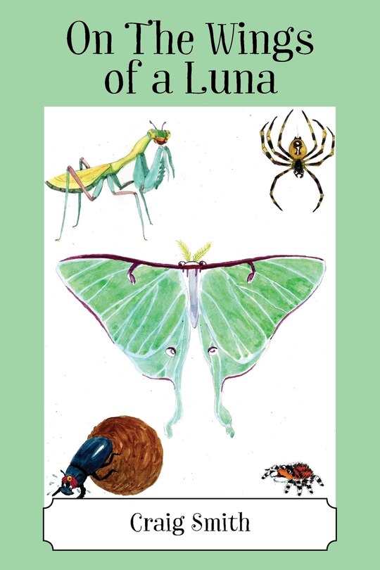 Front cover_On The Wings Of A Luna