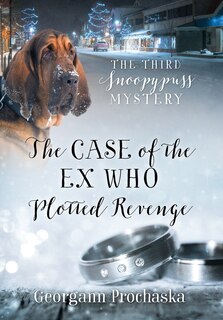Front cover_The Case Of The Ex Who Plotted Revenge