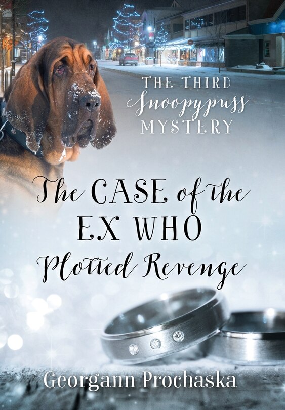 Front cover_The Case Of The Ex Who Plotted Revenge