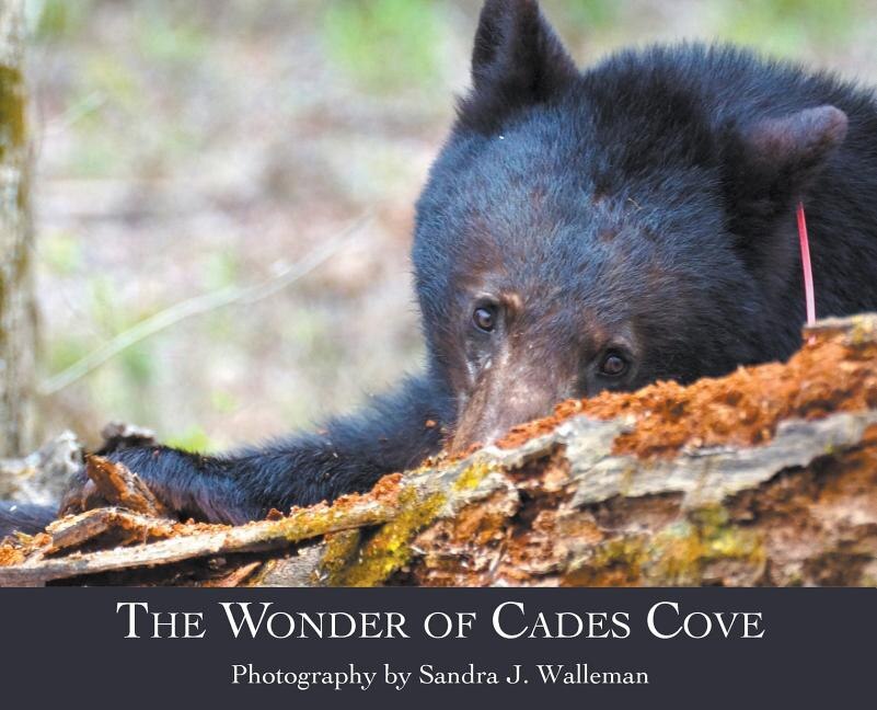 The Wonder Of Cades Cove