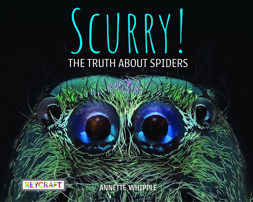 Front cover_Scurry: The Truth about Spiders