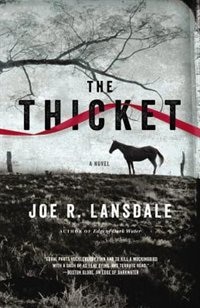 Front cover_The Thicket