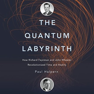 The Quantum Labyrinth: How Richard Feynman And John Wheeler Revolutionized Time And Reality