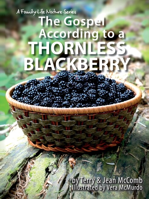 Front cover_The Gospel According to a Blackberry