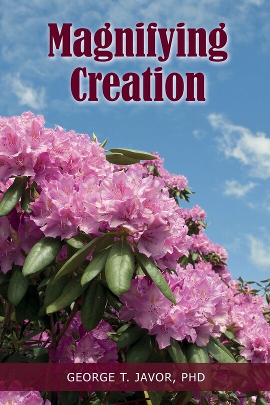 Front cover_Magnifying Creation