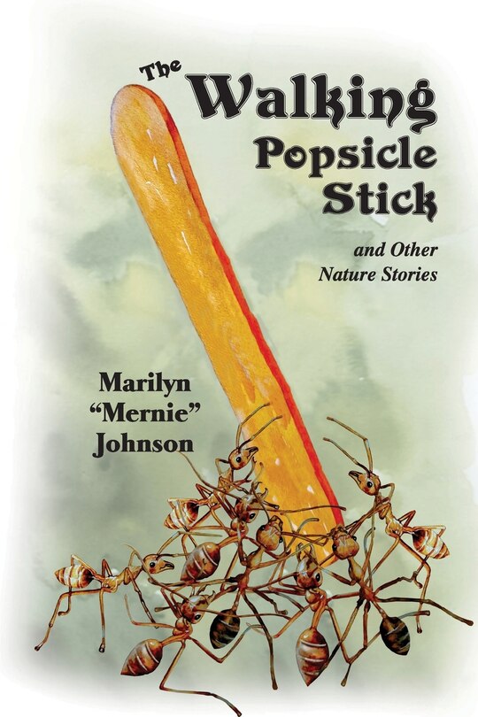Couverture_The Walking Popsicle Stick