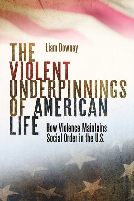 Couverture_The Violent Underpinnings of American Life