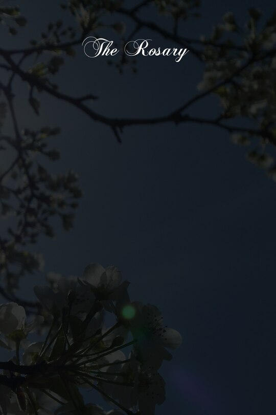 Couverture_The Rosary