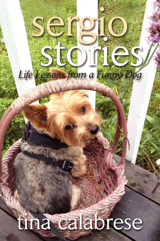 Front cover_Sergio Stories