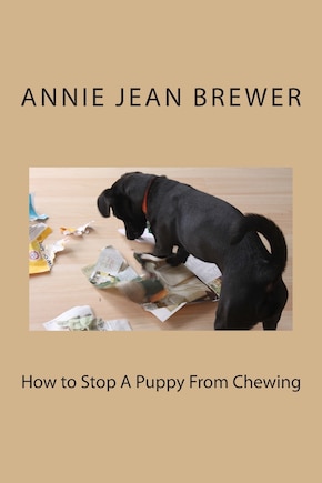 How to Stop A Puppy From Chewing