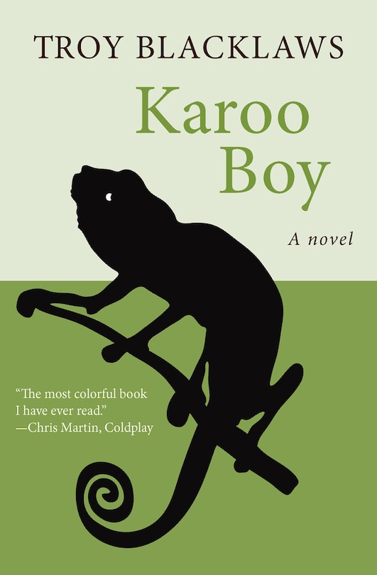 Couverture_Karoo Boy