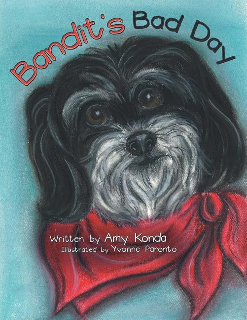 Front cover_Bandit'S Bad Day