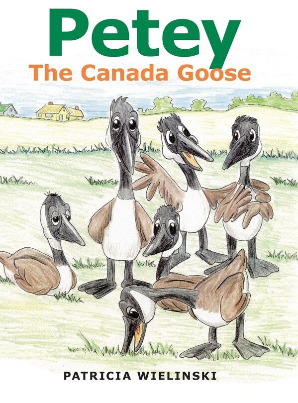 Petey: The Canada Goose