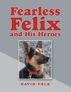 Front cover_Fearless Felix and His Heroes