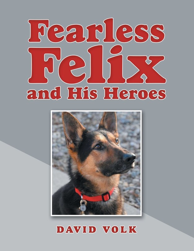 Front cover_Fearless Felix and His Heroes