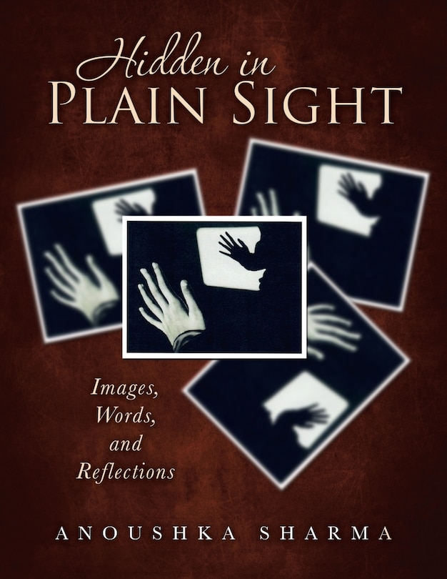 Front cover_Hidden in Plain Sight