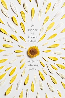 Front cover_The Summer of Broken Things