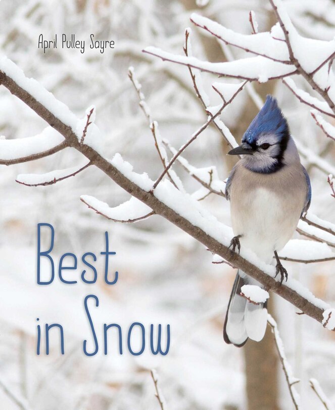 Front cover_Best in Snow